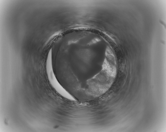X0000098131351200805080950