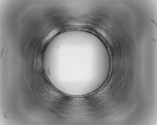 X0000098131354200805080950