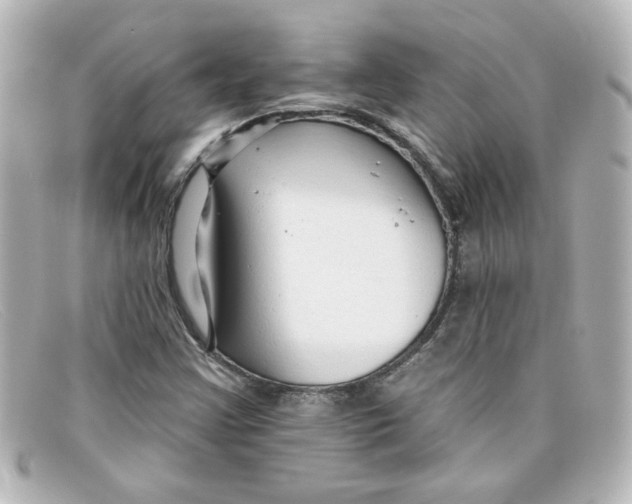 X0000098131355200805080950