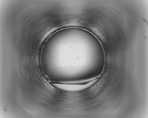 X0000098131356200805080949