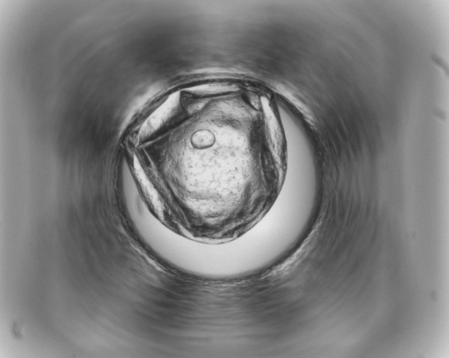X0000098131357200805080949