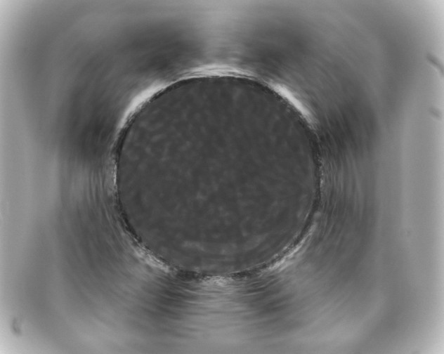 X0000098131358200805080949