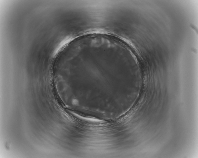 X0000098131359200805080949