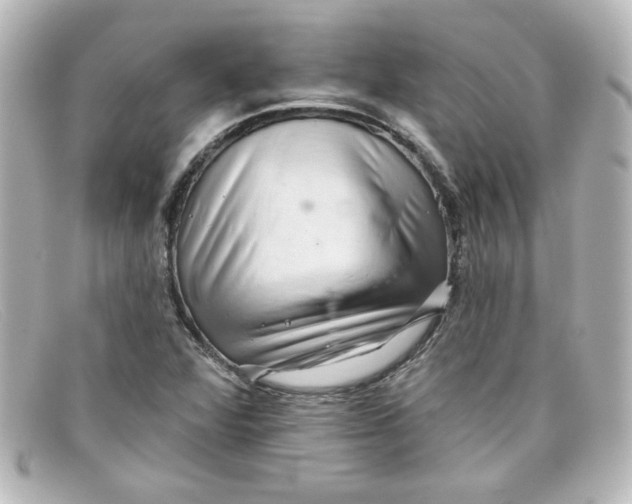 X0000098131360200805080949