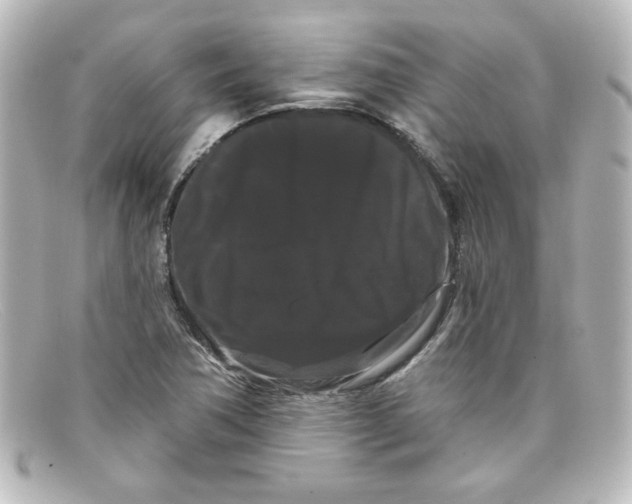 X0000098131362200805080949