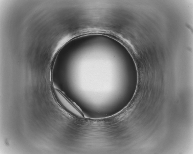 X0000098131365200805080949