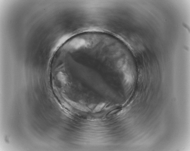 X0000098131367200805080949