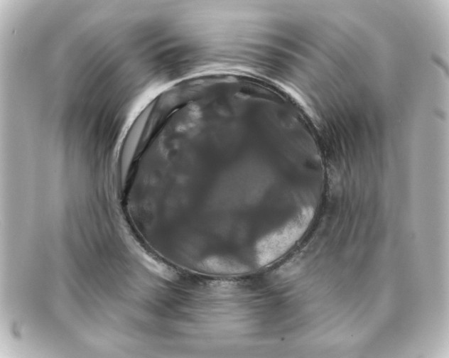 X0000098131371200805080949