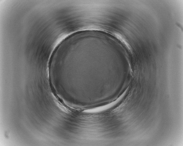 X0000098131372200805080949