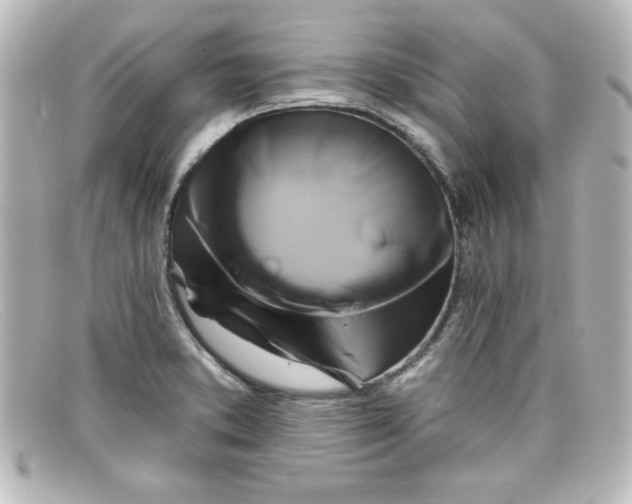 X0000098131373200805080949
