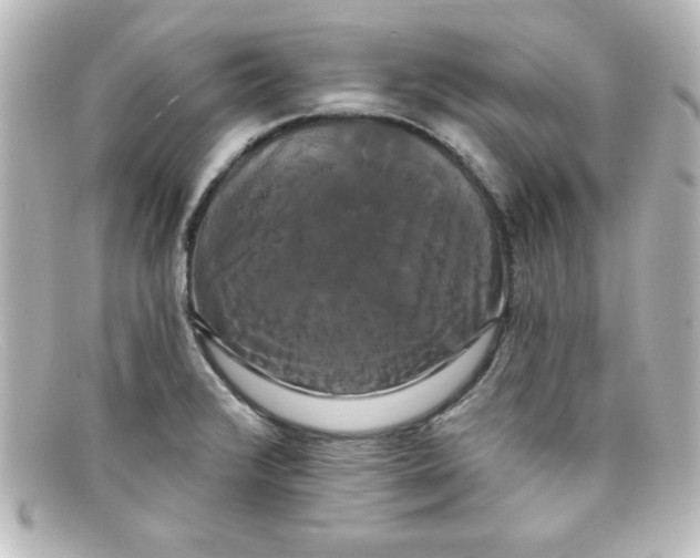X0000098131376200805080949