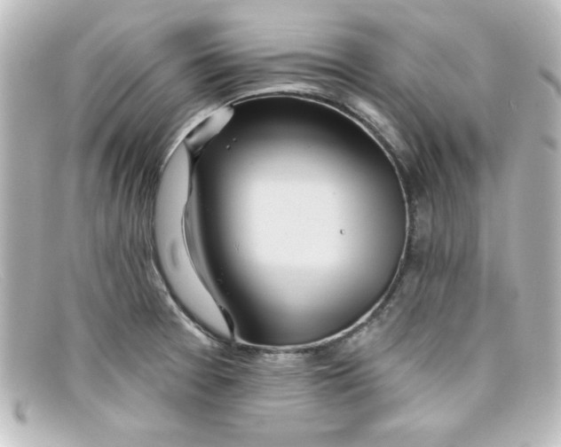 X0000098131377200805080949