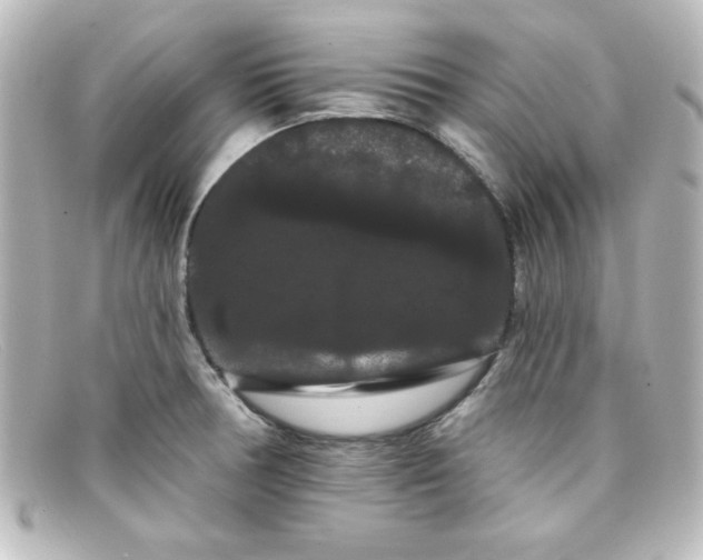X0000098131378200805080949