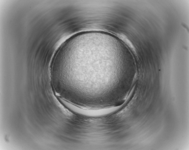 X0000098131380200805080949