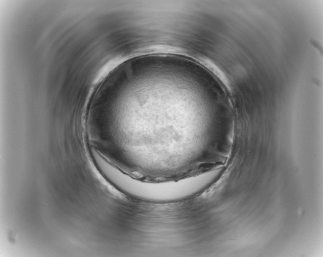 X0000098131381200805080949