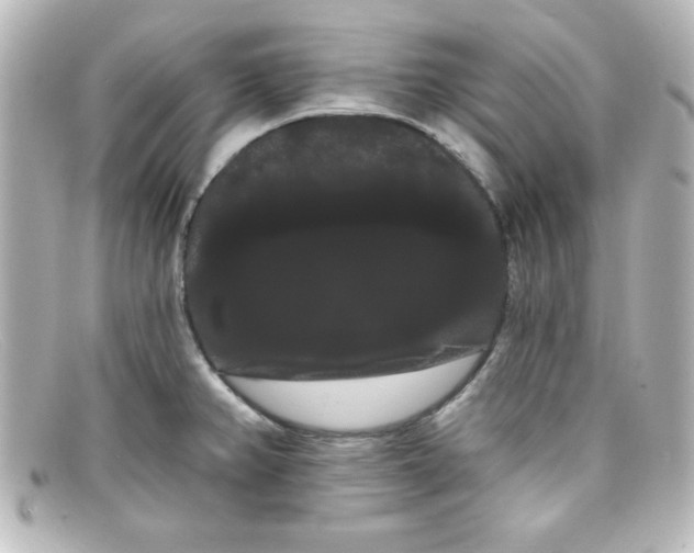 X0000098131382200805080949