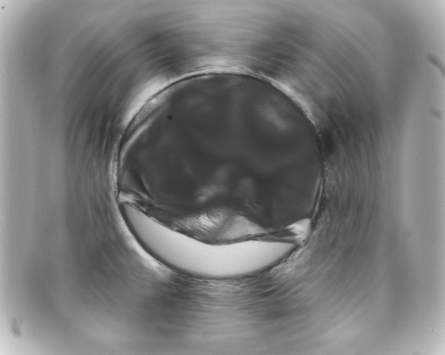 X0000098131383200805080949