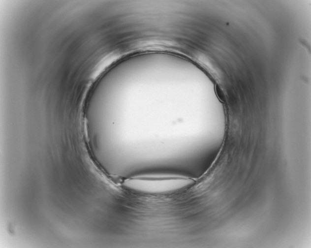 X0000098131384200805080949