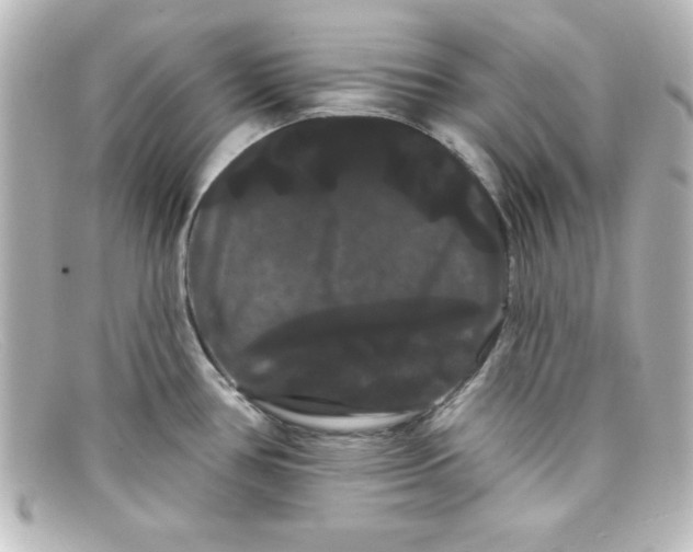 X0000098131386200805080949