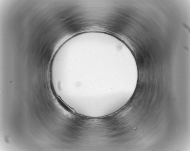 X0000098131387200805080949