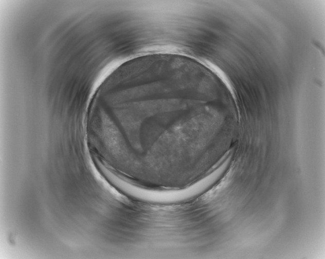 X0000098131389200805080949