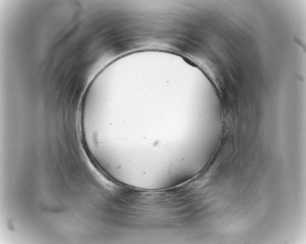 X0000098131391200805080949