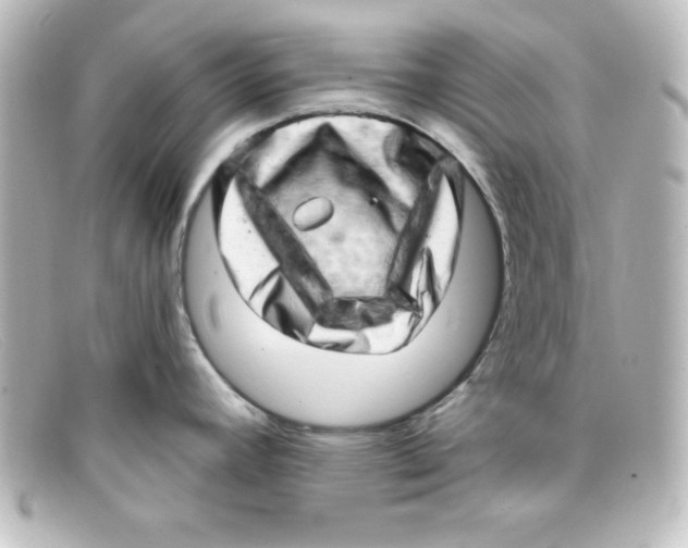 X0000098131392200805080949