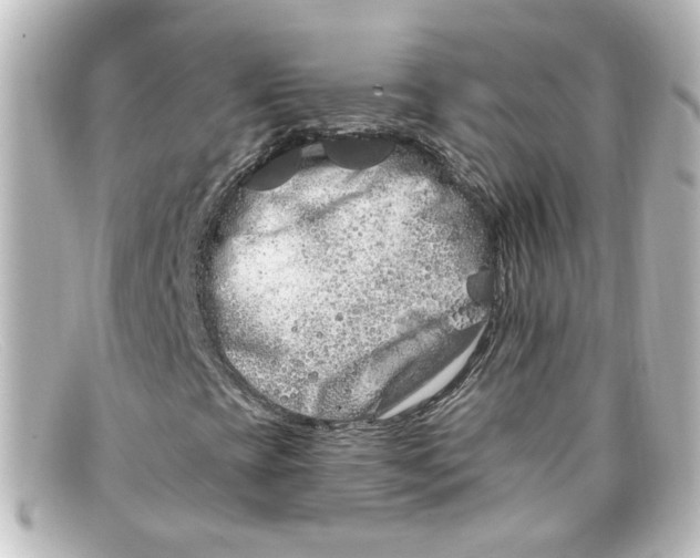 X0000098131393200805080948