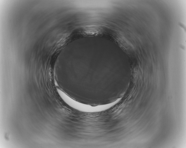 X0000098131394200805080948
