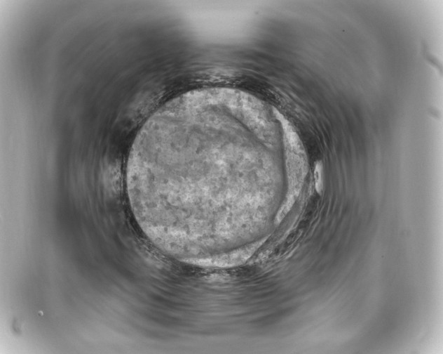 X0000098131395200805080948
