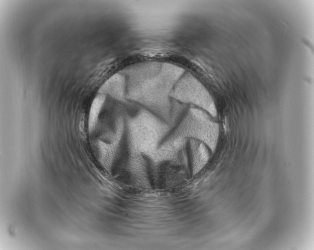 X0000098131396200805080948