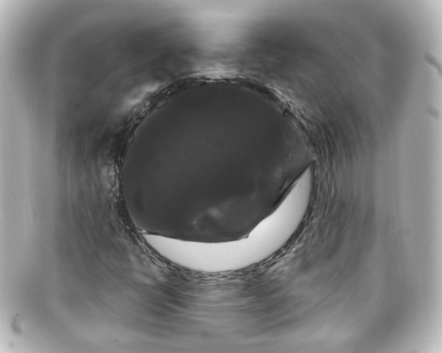 X0000098131398200805080948