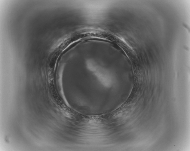 X0000098131399200805080948