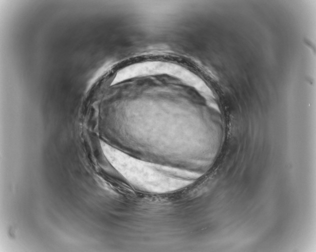 X0000098131400200805080948