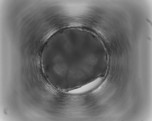 X0000098131401200805080948