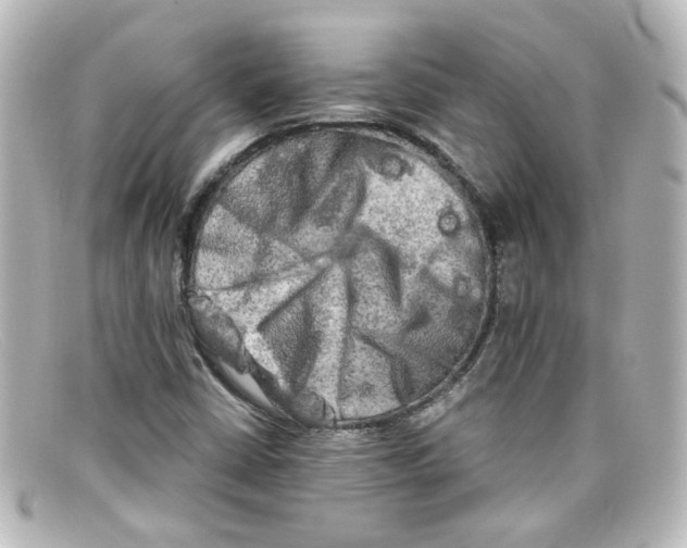 X0000098131402200805080948