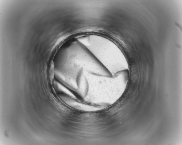X0000098131404200805080948