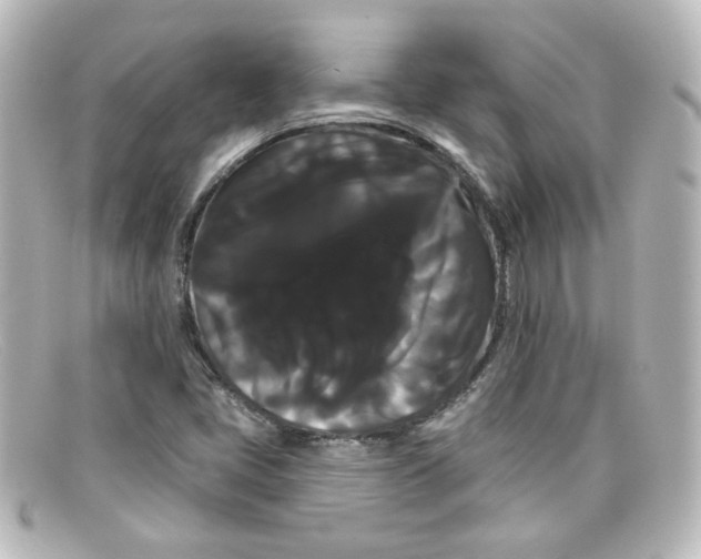 X0000098131405200805080949