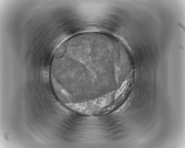 X0000098131409200805080949