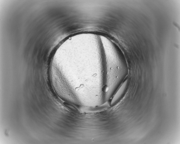 X0000098131410200805080949