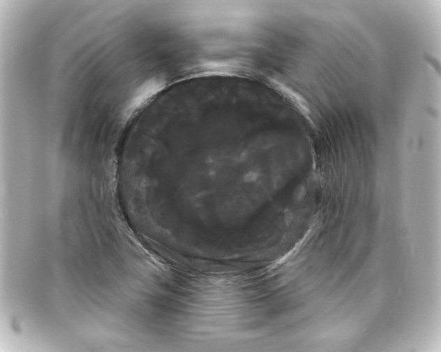 X0000098131411200805080949