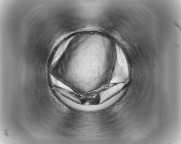 X0000098131412200805080949