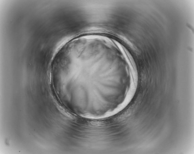 X0000098131413200805080949