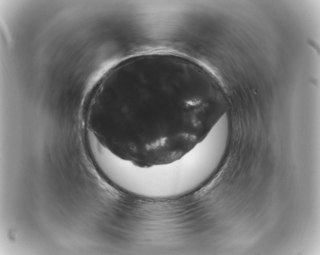 X0000098131414200805080949