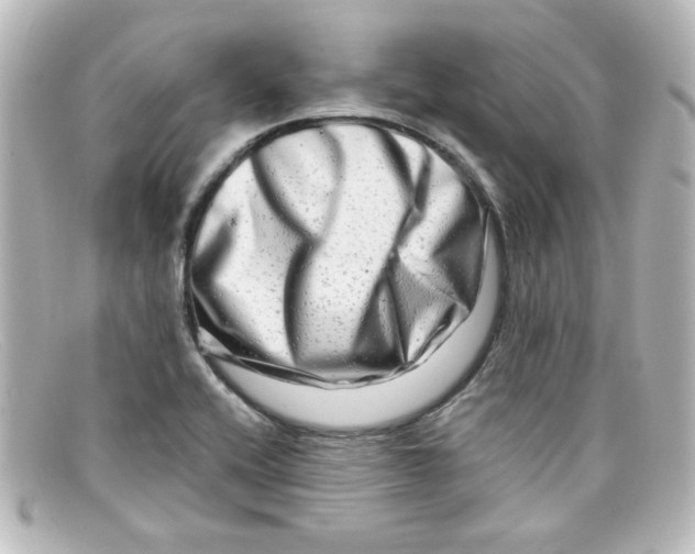 X0000098131416200805080949