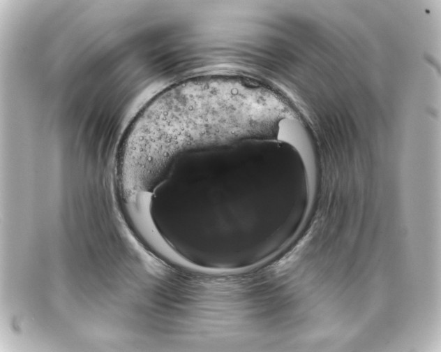 X0000098131418200805080949