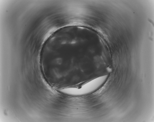 X0000098131422200805080949