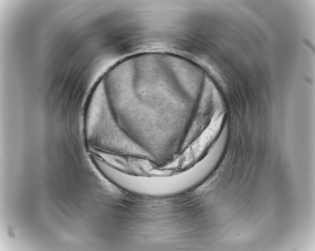 X0000098131424200805080949