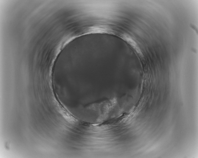 X0000098131427200805080949
