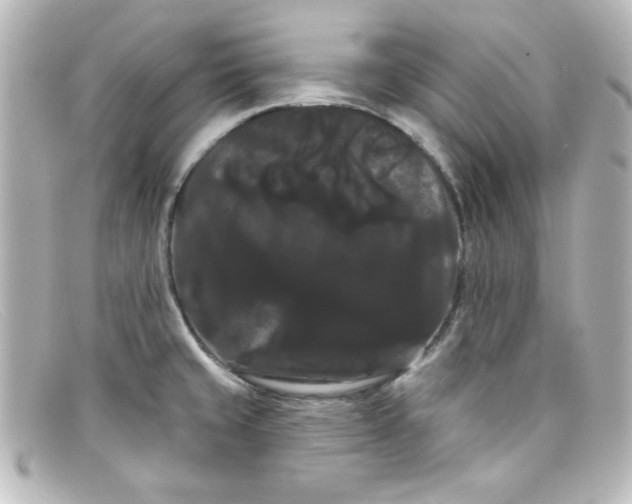 X0000098131429200805080949